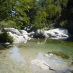 corsica corte