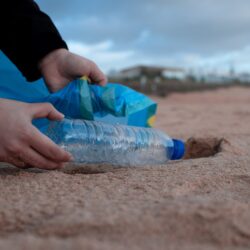 plasticfree plasticfree