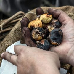 escursione marroni escursione marroni